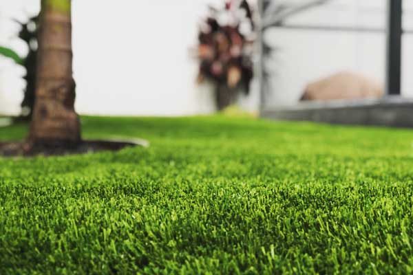 Apple-Dog-Run Apple-Dog-Run