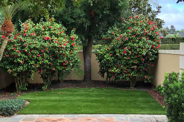 Courtyard-Getaway Courtyard-Getaway