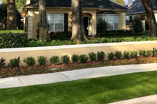 Front-Yard Front-Yard