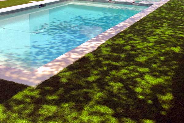 Poolside-Retreat Poolside-Retreat